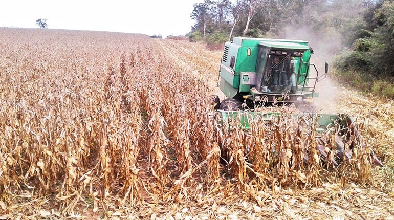 EMAPA inició este domingo la siembra de 4.000 hectáreas de maíz en el municipio de San Pablo de Guarayos