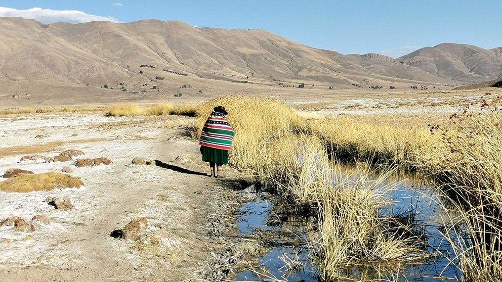 Informe confirma contaminación en Ayllu San Agustín de Puñaca del departamento de Oruro, pero omite datos en las conclusiones
