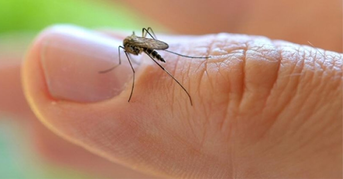 Primera víctima de dengue en el departamento de La Paz de acuerdo al ministerio de Salud