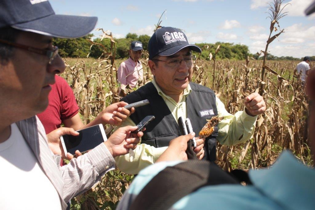 IBCE exhorta a las autoridades a que se autoricen eventos de biotecnología, que se hagan los cultivos más resistentes a problemas como la sequía