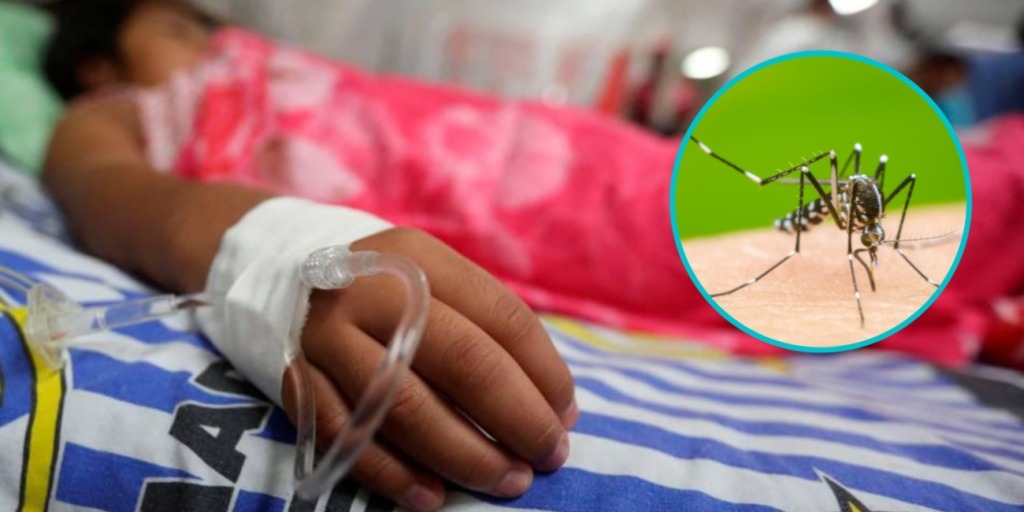 Niña de seis años fallece por el dengue en el municipio de Villa Tunari, sumando ocho víctimas mortales en Cochabamba