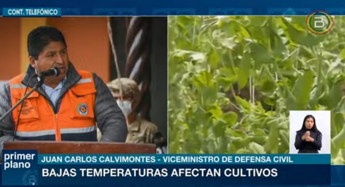 Defensa Civil reporta más de 11.000 familias afectadas por las heladas en cinco departamentos