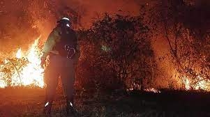  Defensa Civil se desplegó para sofocar incendios provocados de manera intencionada