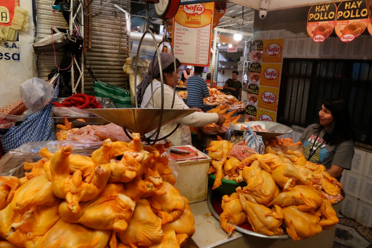 Gobierno abastece con más de 60.000 pollos a las ciudades de La Paz y El Alto